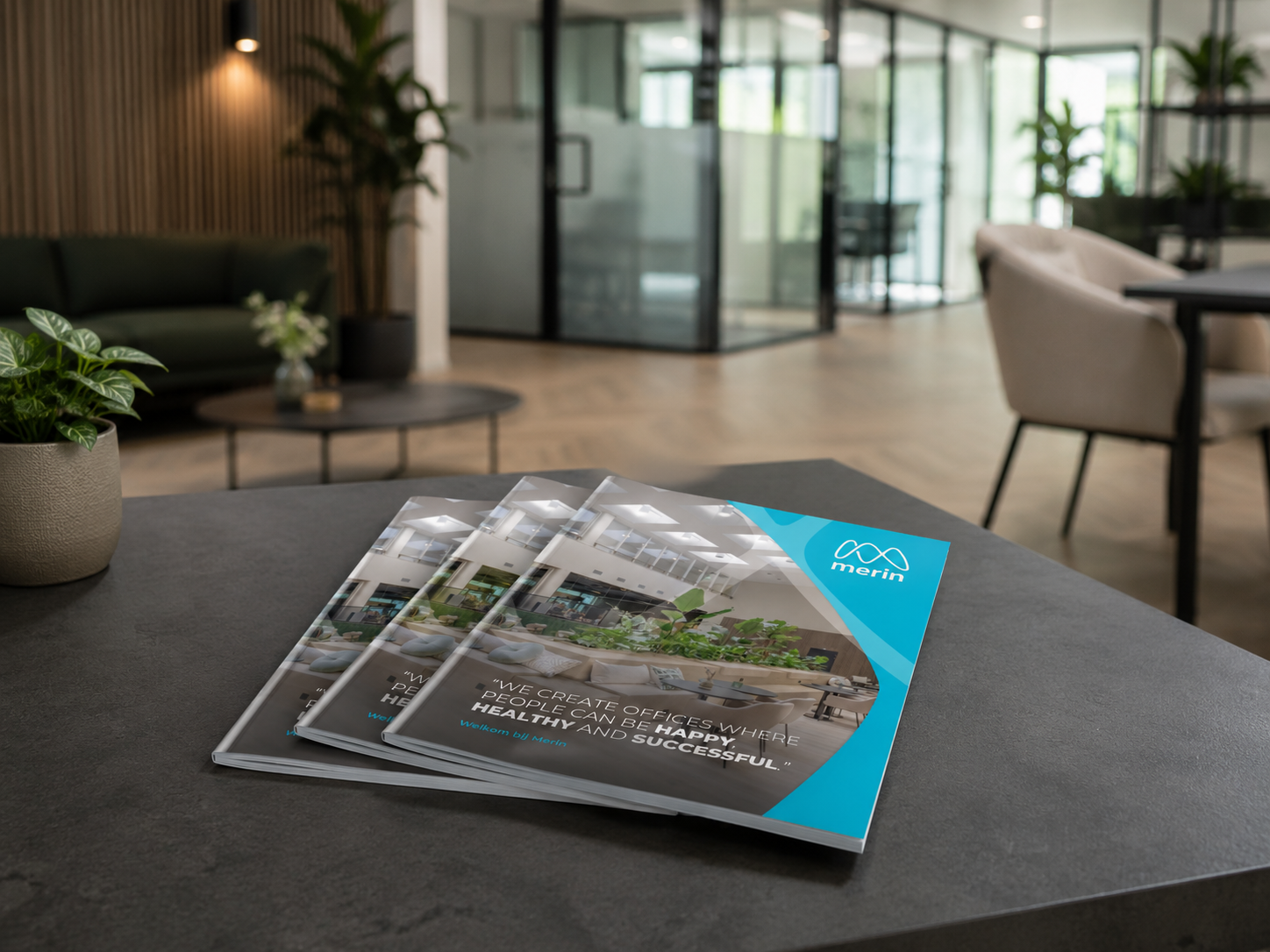 brochure-mockup-merin